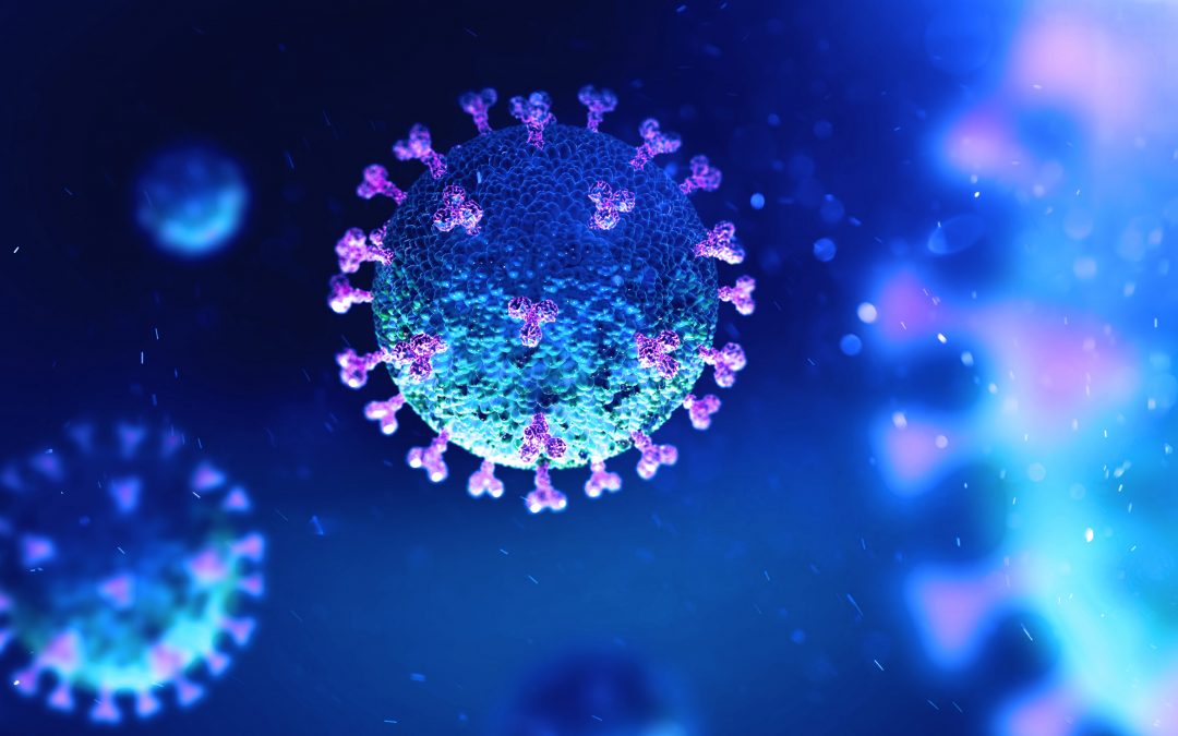 Coronavirus Update: Virtual Consultations Available